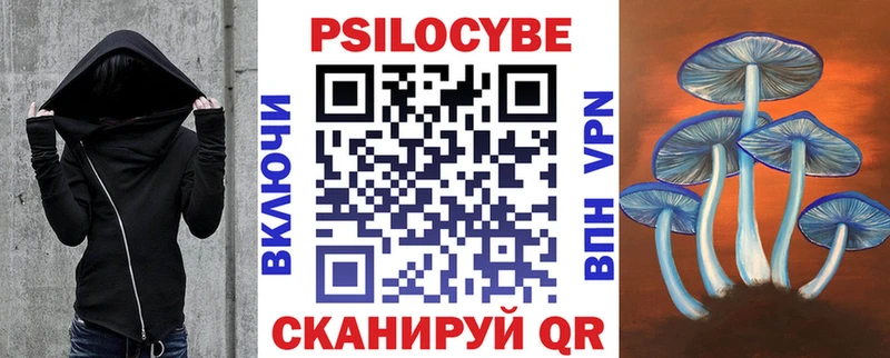 Галлюциногенные грибы прущие грибы KRAKEN маркетплейс Владивосток