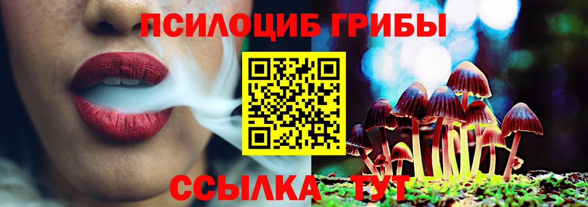 наркота  Владивосток  Псилоцибиновые грибы Psilocybine cubensis 