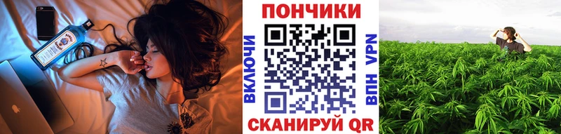 Бошки марихуана SATIVA & INDICA  купить   блэк спрут маркетплейс  darknet состав  Владивосток 